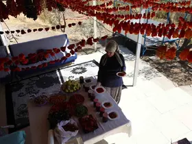 Eşi emekli olduktan sonra köyüne yerleşen girişimci kadın, acı ve tatlıyı bir araya getirdi
