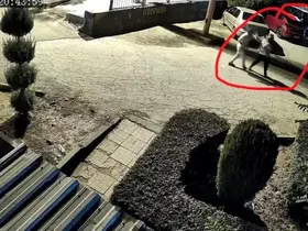 Eşini kucağındaki çocuğunun gözü önünde öldüren şahıs adliyeye sevk edildi
