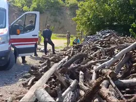 Eşini odunla döverek öldürdü
