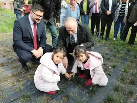 Eskişehir safran üretiminde birincilik yolunda
