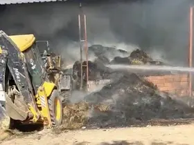 Eskişehir’de çiftlikte çıkan yangında 15 küçükbaş telef oldu
