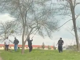 Eskişehir’de ‘mangal için ağaç dalını kırmaya çalıştılar’ iddiası
