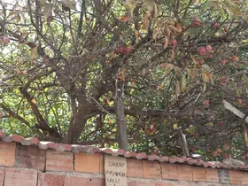 Eskişehir’de şaşırtan uyarı
