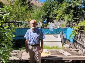 Ev ve bahçelere dadanan ayıları yetkililere şikâyet etti
