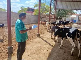 Evciler’de hayvancılık işletmelerinde kontrol ve tespit çalışması
