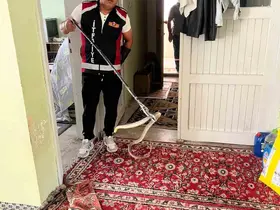 Evde yılan paniği

