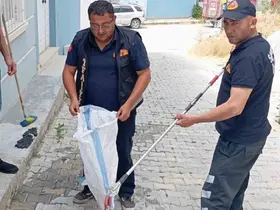 Eve giren yılan paniğe neden oldu
