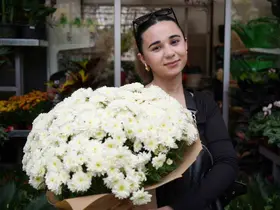 Eylül ayında en çok tercih edilen çiçekler kasımpatı ve sıklamen oluyor
