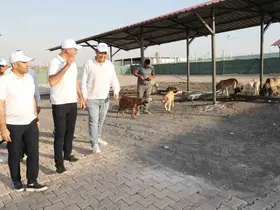 Eyyübiye, sokak hayvanları sorununu çözdü

