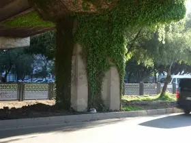 Feci kazada hayatını kaybeden kız, gelinlik ve duvakla uğurlandı
