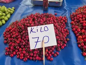 Festivalde 300 liraydı, pazarda 70 liraya düştü
