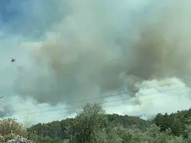 Fethiye’de orman yangınını söndürmek için ekipler seferber oldu
