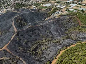 Fethiye’nin akciğerleri yandı