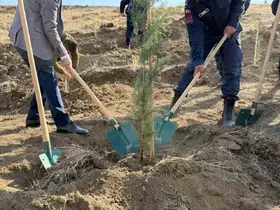 Fidanlar toprakla buluştu

