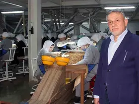 Fındık fiyatları, ihracat, döviz kuru ve hava şartlarına bağlı
