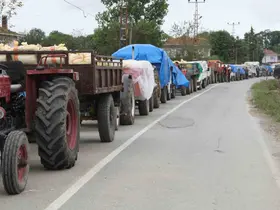 Fındık üreticisine uyarı: "Ürününüzü ayıklayın"
