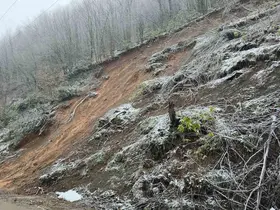 Fındıklıaksu köyünde heyelanların ardı arkası kesilmiyor
