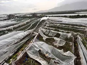 Finike’de hortumun verdiği hasar gündüz ortaya çıktı
