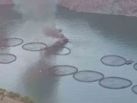 Fırat Nehri’nde tekne alev alev yandı
