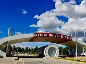 Fırat Üniversitesi URAP dünya siralamasında
