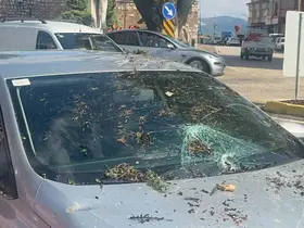 Fırtınada kökünden sökülen ağaç otomobilin üzerine devrildi
