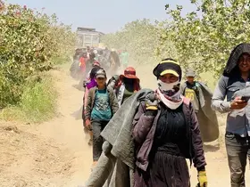 Fiyatı yüzde 500 artan fıstığın üreticisinden baklavacılara çağrı

