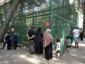 Gaziantep Doğal Yaşam Parkı’nda 8 ayda bir yılın rekoru kırıldı
