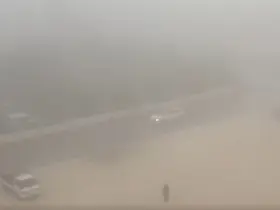 Gaziantep yoğun sis etkili
