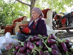 Gaziantepli kadınların kurutmalık mesaisi devam ediyor
