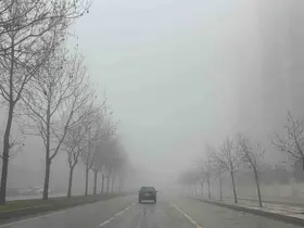 Gaziantep’te 2 gündür yoğun sis etkili oluyor
