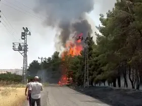 Gaziantep’te orman yangını
