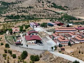 Geçici Hayvan Bakımevi ve Rehabilitasyon Merkezi’nde 15 bin sokak hayvanı tedavi edildi
