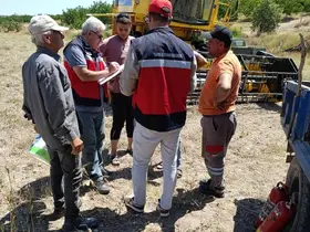 Gediz’de biçerdöverle hasat kontrolleri sürüyor
