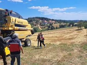 Gediz’de biçerdöverle hasat kontrolü
