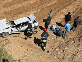 Gediz’de otomobil tarlaya uçtu, 2 yaralı
