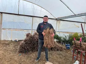 Genç kardeşlerden Sarıgöl ekonomisine 700 bin fidan hamlesi
