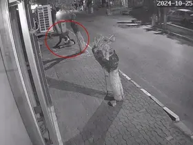 Genç kıza bıçakla dehşeti yaşatmıştı, adli kontrol ile tahliye edildi
