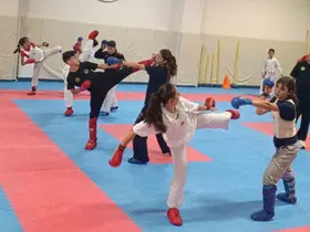 Genç sporcular haftanın 6 günü karate yapıyor
