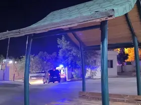 Gercüş’te ağaçtan düşen adam ağır yaralandı
