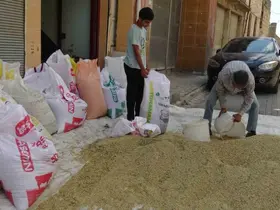 Gercüş’te bereketli hasat: Çiftçinin yüzü güldü
