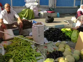 Gercüş’te organik ürünlerdeki bolluk fiyatları düşürdü

