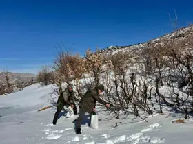 Gercüş’te orman ekibi doğadaki canlıları yalnız bırakmadı
