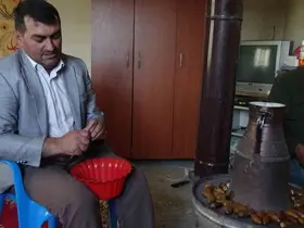 Gercüş’ün ’Doğu kestanesi’: Organik meşe palamudu kış sofralarının vazgeçilmezi oluyor
