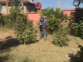 Germencik’te okullar yeni eğitim yılına hazırlanıyor
