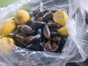 Gıda Hattı’na gelen ihbar ekipleri harekete geçirdi
