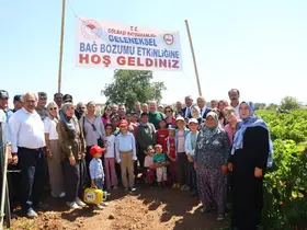 Gölbaşı’nda bağ bozumu heyecanı başladı
