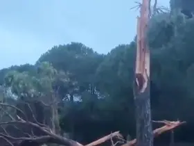 Golf sahasına düşen yıldırım ağacı parçalara ayırdı
