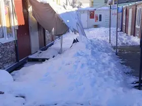 Gölgelikler kar ağırlığına dayanamadı
