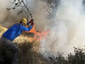 Gömeç’teki yangında 52. saat: Alevlerin ilerlememesi için adeta etten duvar örüldü

