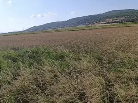 Gönen’de sulama krizi: Çiftçi saatlik suya mahkum
